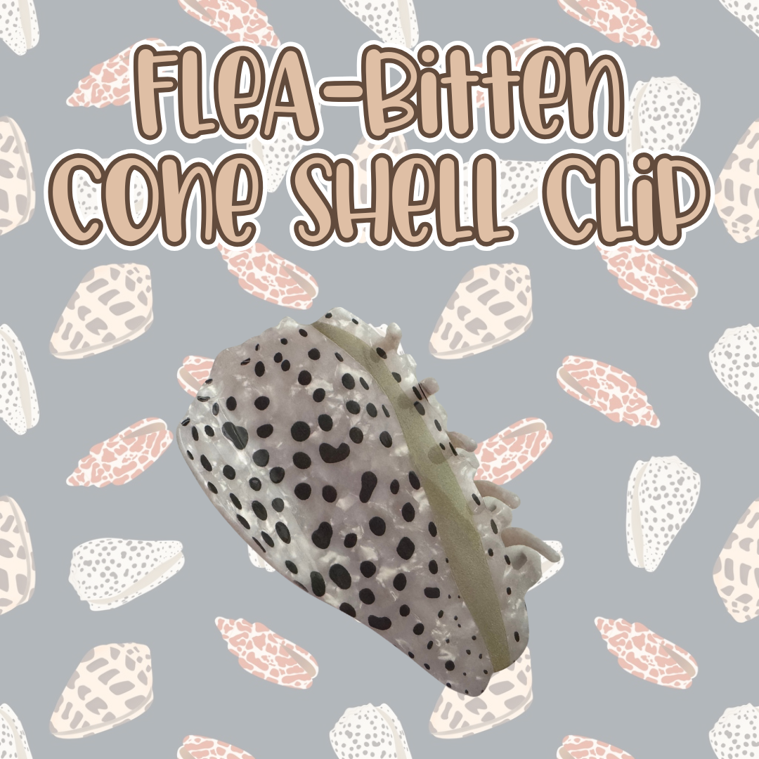 Flea-Bitten Cone Shell Hair Clip