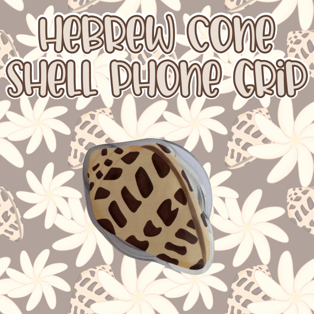 Hebrew Cone Shell Phone Grip
