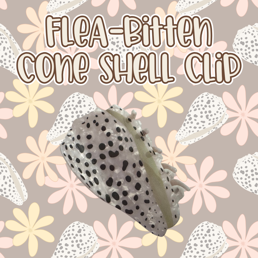 Flea-Bitten Cone Shell Hair Clip
