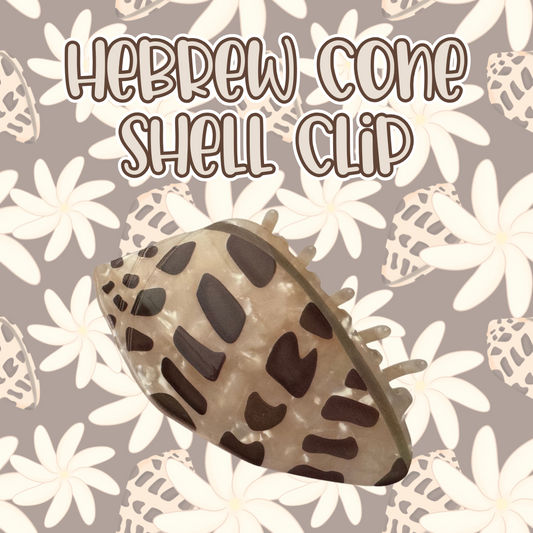 Hebrew Cone Shell Clip